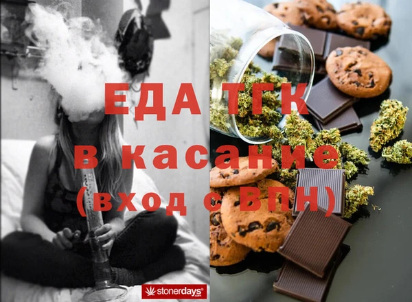 индика Арсеньев