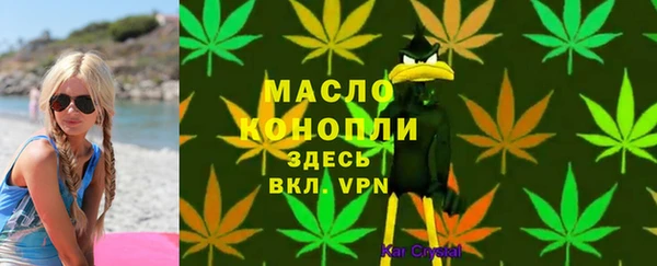 индика Арсеньев