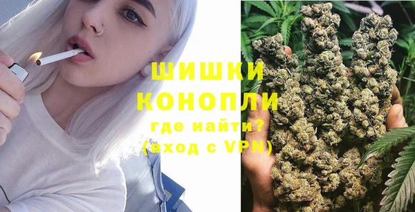 индика Арсеньев