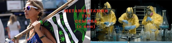 индика Арсеньев