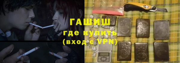 индика Арсеньев