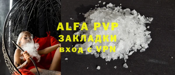 индика Арсеньев