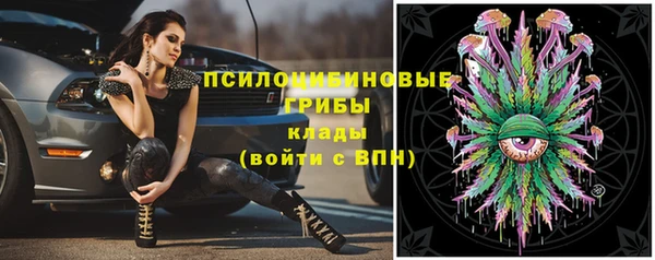 индика Арсеньев
