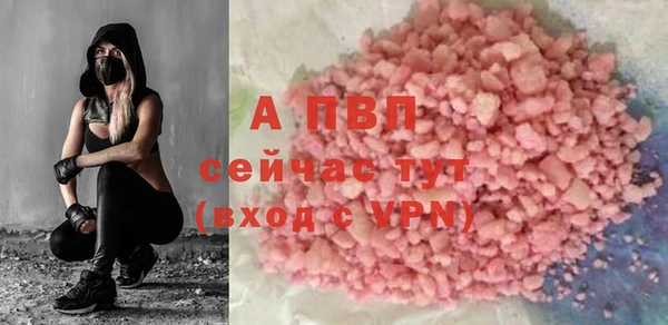 индика Арсеньев