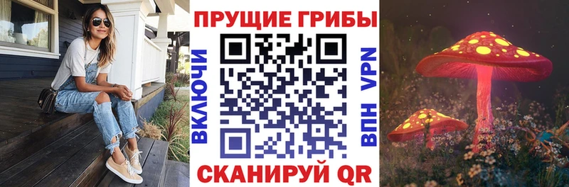 Купить закладки Тара Псилоцибиновые грибы Psilocybine cubensis