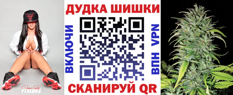 Купить  Тара  Марихуана SATIVA & INDICA 